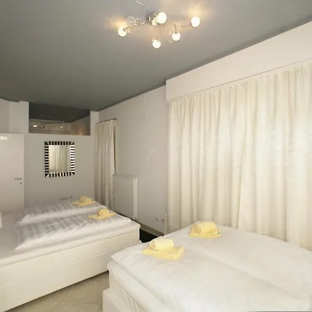 Mountain - Night Only - Self Check In Homestay Zell am See